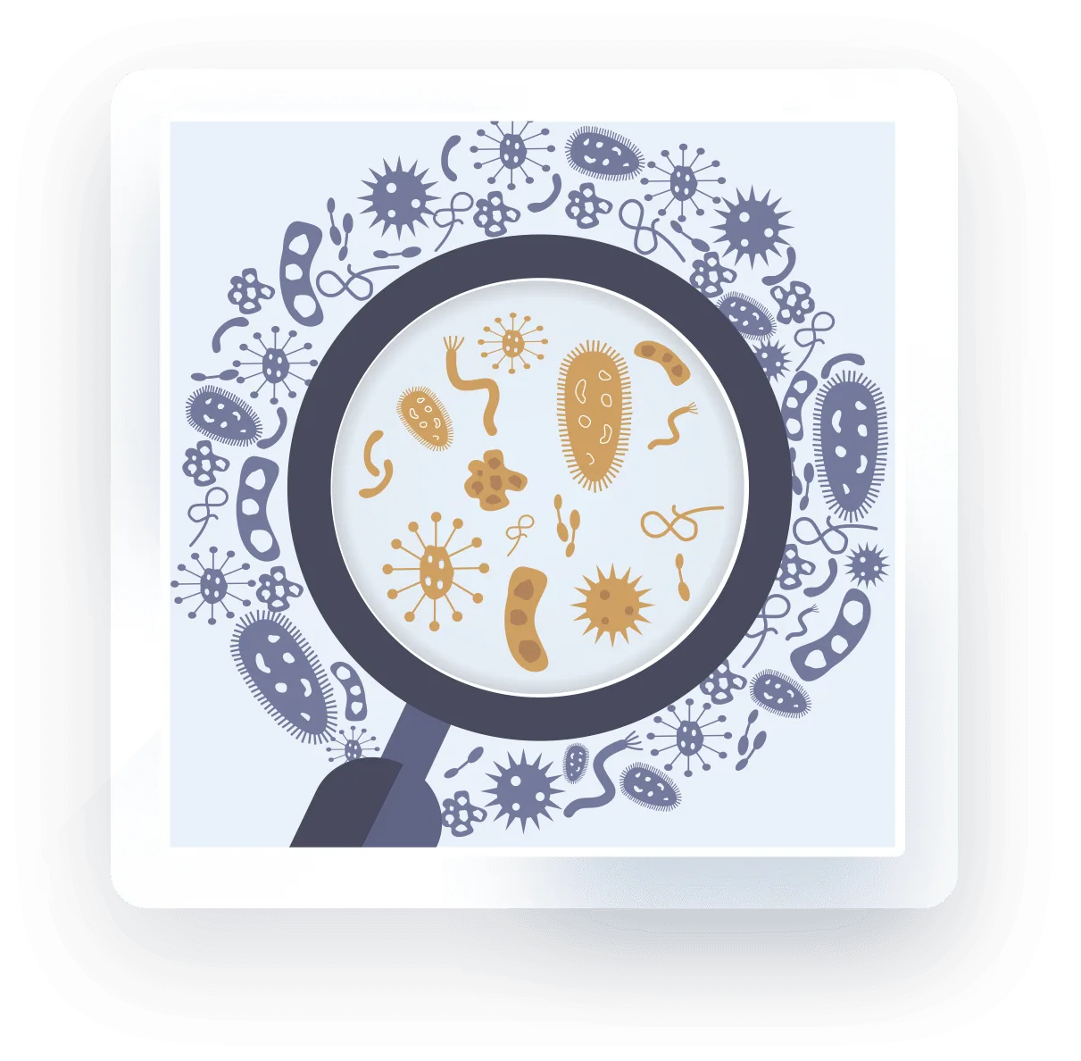 Spy-mold mold inspection pheonix & scottsdale - magnifying glass over bacteria