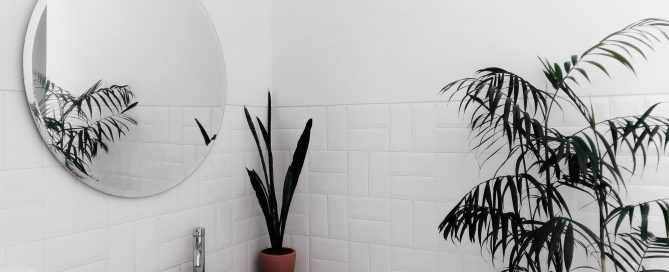 a clean modern bathroom free of mold