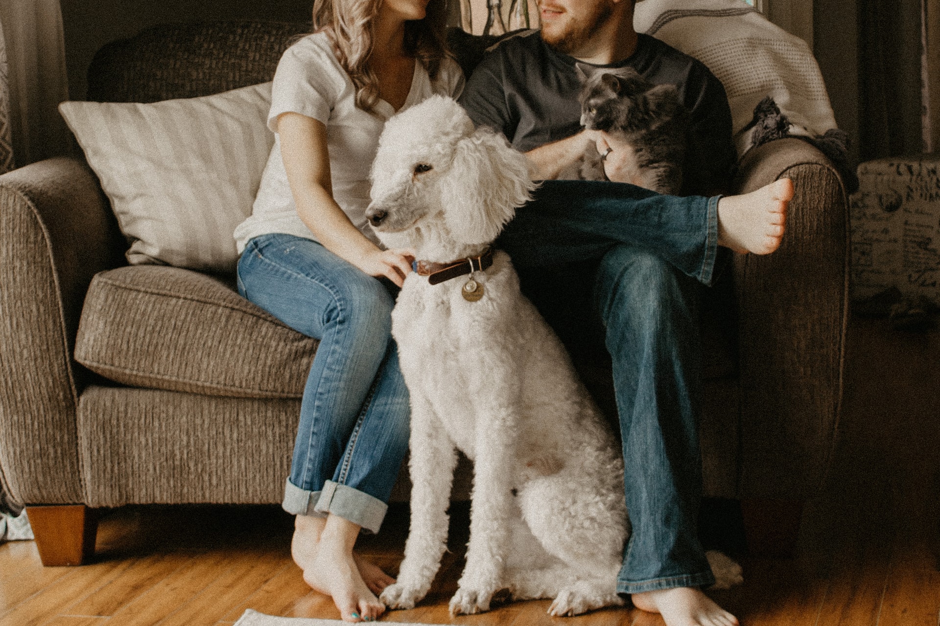 black mold and pets -- couple sitting with cat and dog on a sofa