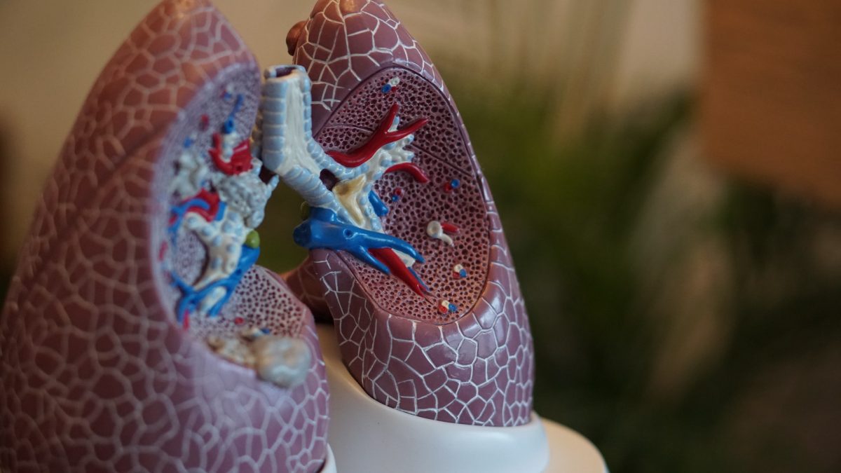 What Causes Mold In Lungs