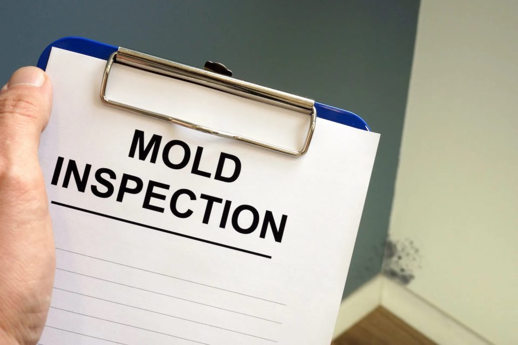 A man holding a clipboard during a mold inspection in phoenix, AZ