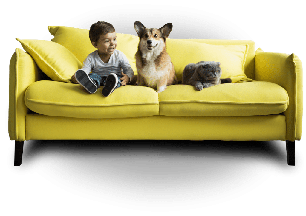 mold removal phoenix and scottsdale - kid cat and dog sitting on yellow couch