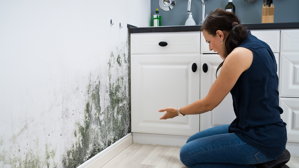 A woman in Mesa, AZ discovers mold in her kitchen.