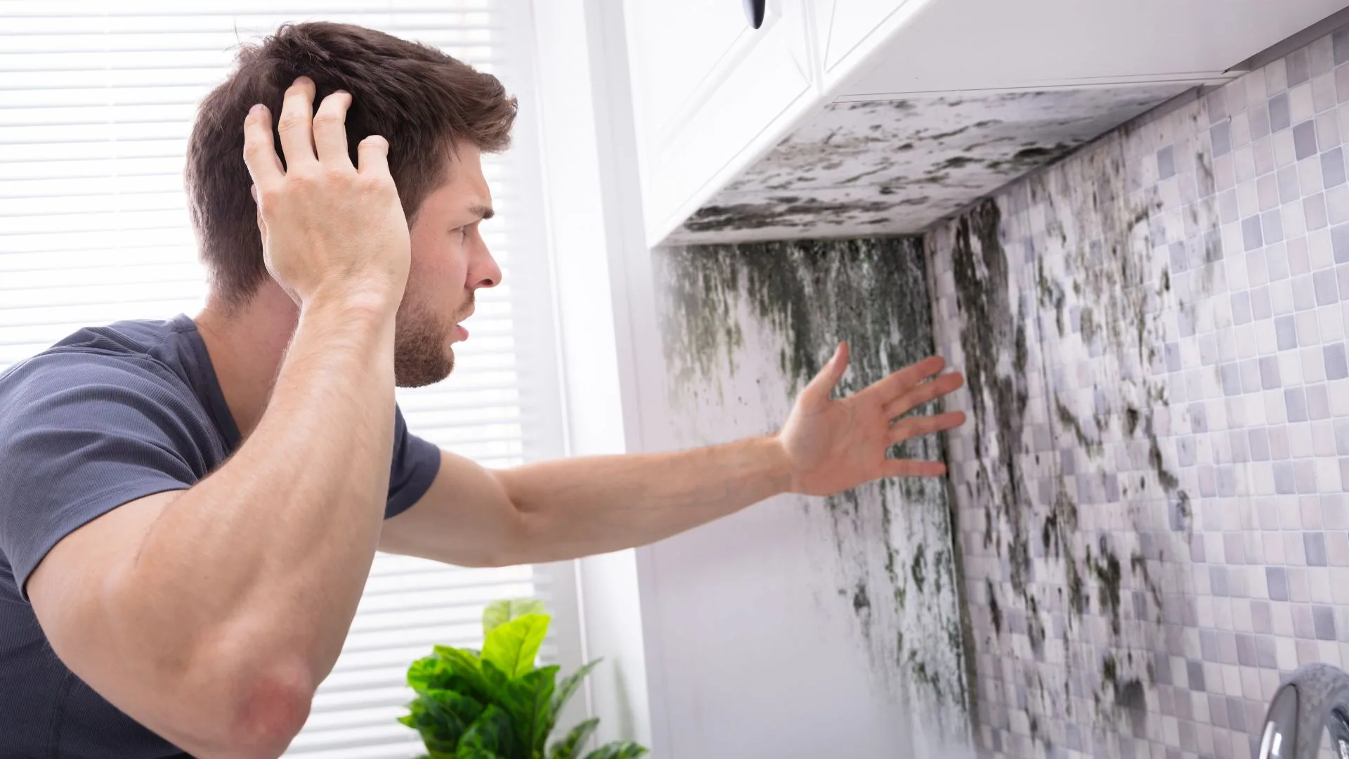 A man in Goodyear, Arizona, finds mold in his kitchen before mold remediation.