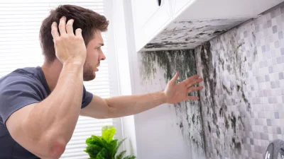 A man in Tempe, Arizona, finds mold in his kitchen before mold remediation.
