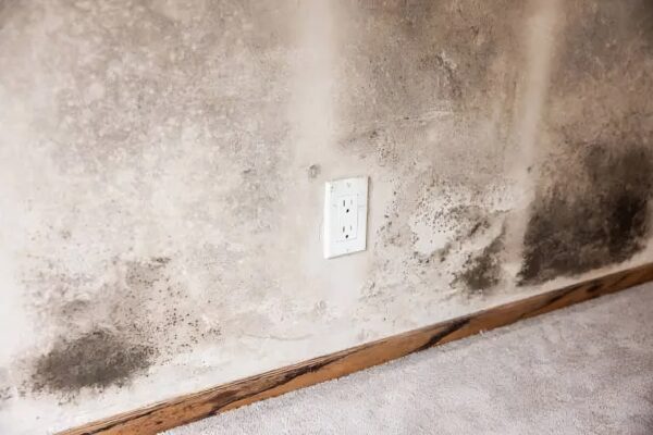 Mold and mildew damage caused by a leaking roof. Professional mold remediation in Sun City, AZ.