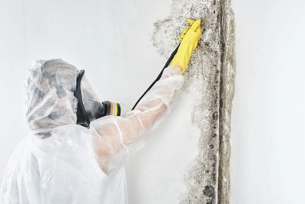 mold-remediation A worker in protective gear and yellow gloves cleans mold from a white wall