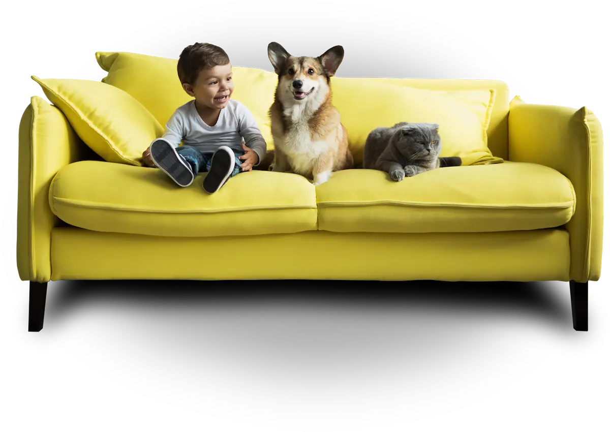 Couch-kid-dog-smaller mold removal phoenix and scottsdale - kid cat and dog sitting on yellow couch
