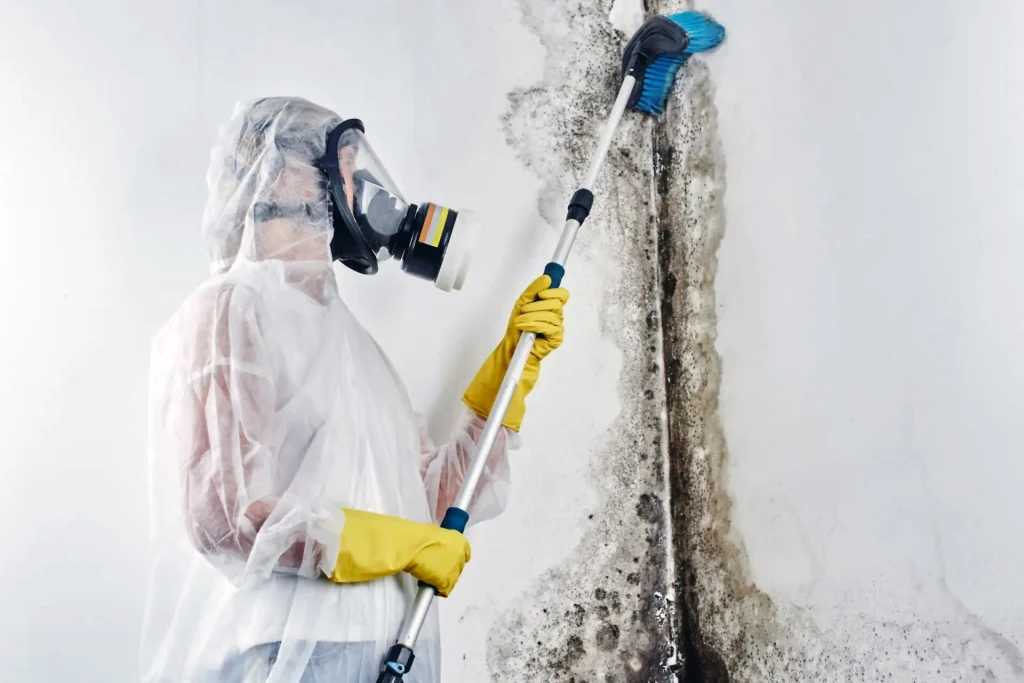 Professional wearing a full respirator suit scrubbing mold off a white wall during a black mold removal mesa az service.