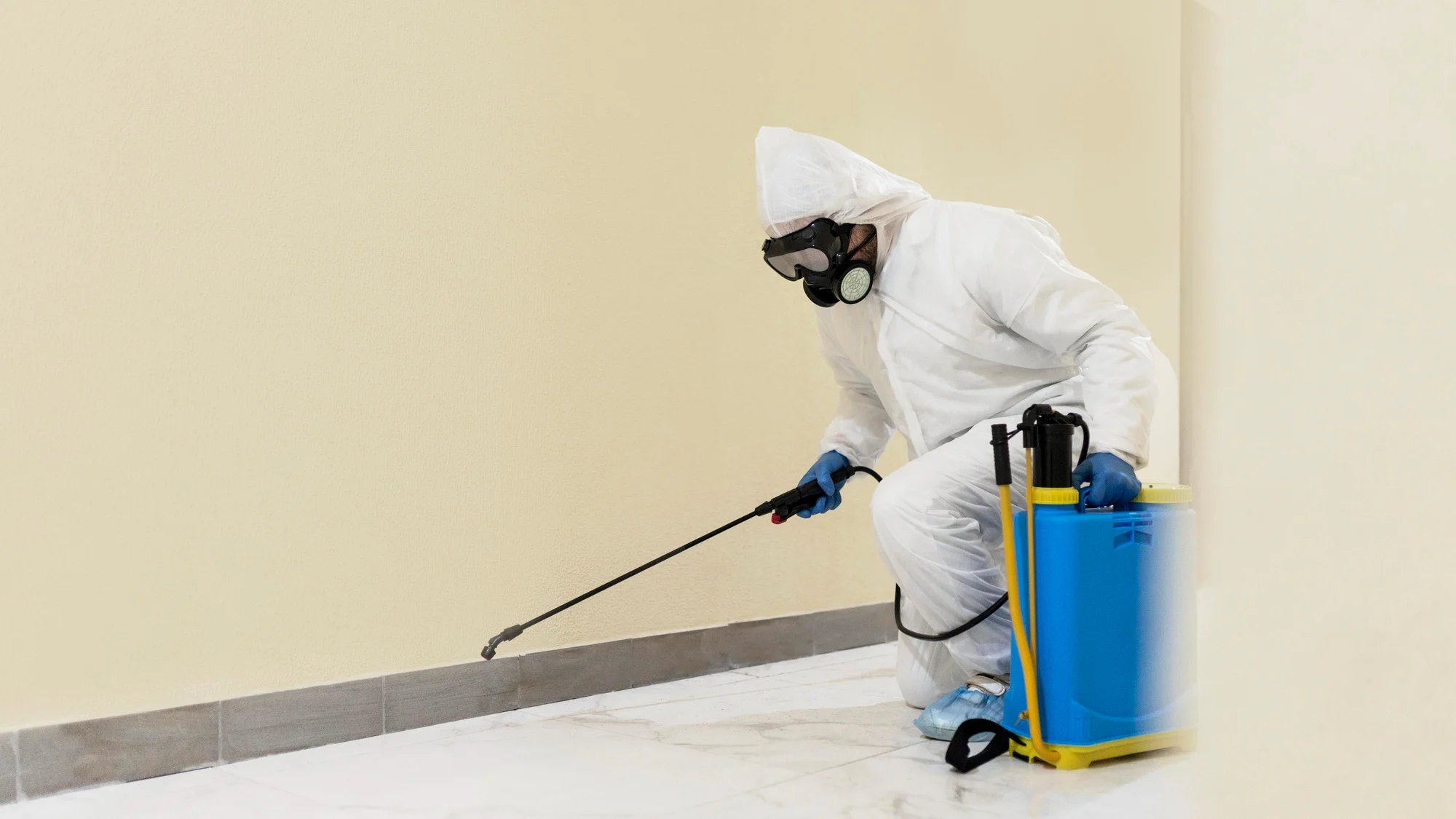 mold-removal-expert-disinfecting-wall mold removal expert disinfecting wall as part of mold remediation in Phoenix AZ